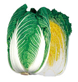 25 Graines de Chou Chinois Pe-Tsaï, Pe-tsaï, chou chinois, chou de Pékin, chou napa, nappa