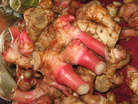 Graines de Gingembre, Alpinia Galanga