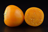 3 Graines de Coqueret du Pérou, Physalis Peruviana, Aguaymanto, Topotopo, Uchuva