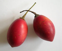 10 Graines de Tamarillo, Solanum Betaceum, tomate en arbre, prune du Japon, tomate arbuste, tomate de la Paz