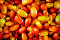 30 Graines de Tomates ROMA Rouge Solanum Lycopersicum