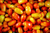 50 Graines de Tomates ROMA Rouge Solanum Lycopersicum