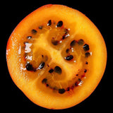 7 Graines de Tamarillo, Solanum Betaceum, tomate en arbre, prune du Japon, tomate arbuste, tomate de la Paz