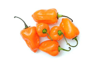 25 Graines de Piment Habanero Orange