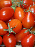 25 Graines de Tomate Poire Rouge