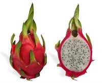 5 Graines Hylocereus undatus, Pitaya, Pitahaya, Fruit du dragon