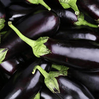 20 Graines de Aubergine "Black Beauty", Solanum Melongena