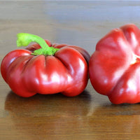 20 Graines de Poivron Doux "Topepo Rosso", Capsicum Annuum