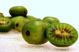 Graines Actinidia arguta, Kiwaï, kiwi de Sibérie