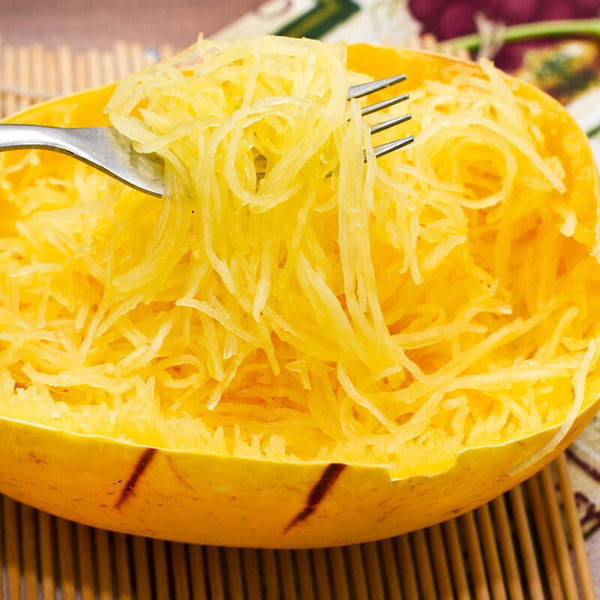 20 Graines de Courge Spaghetti Pyza, Cucurbita Pepo