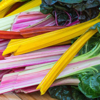 40 Graines de Poirée Mélange de Couleurs, Beta vulgaris subsp. cicla var. flavescens