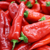 25 Graines de Poivron Doux Corno di Toro Rosso, Capsicum annuum