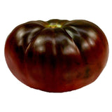 25 Graines de Tomate Brandywine Noire, Solanum lycopersicum