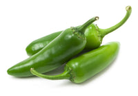 20 Graines Piment Jalapeno Vert