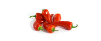 20 Graines de Piment Fresno, Capsicum