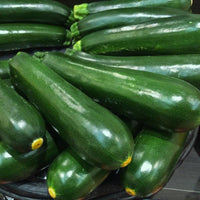 20 Graines de Courgette Black Beauty, Cucurbita Pepo