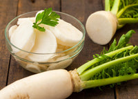 50 Graines de Radis Blanc du Japon Daikon Agata, Raphanus sativus var. niger