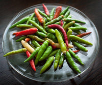 20 Graines de Piment Bird's Eye, Capsicum Frutescens