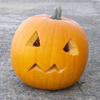 20 Graines de Courge Halloween Jack O'Lantern, Cucurbita pepo