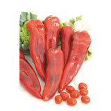 25 Graines de Poivron Doux Corno di Toro Rosso, Capsicum annuum