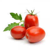 20 Graines de Tomate Cherry Gartenperle Red, Solanum lycopersicum