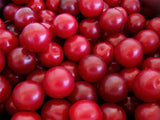 Graines Prunus Cerasifera Prunier Myrobolan Prunier-cerise Porte-Greffe Plum Cherry