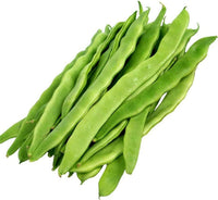 20 Graines de Haricot Vert Plat Helda, Phaseolus Vulgaris