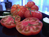 100 Graines de Tomate Marmande, Solanum lycopersicum