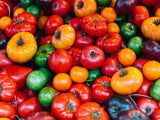 Graines de Tomates en Mélange Solanum lycopersicum (Orange Banana, Ananas, Rose de Bernes)