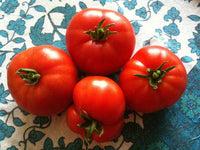 20 Graines de Tomate Marmande, Solanum lycopersicum