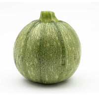 20 Graines de Courgette Ronde Tondo Chiaro Di Nizza