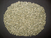 Graines Coffea arabica "Castillo", Caféier arabica