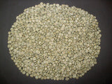 Graines Coffea arabica "Obata", Caféier arabica