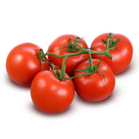 20 Graines de Tomate de Plein Champ Alka, Solanum lycopersicum