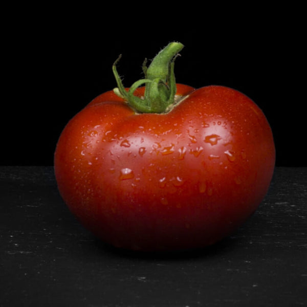 Graines de Tomate "Saint Pierre", Solanum Lypersicum